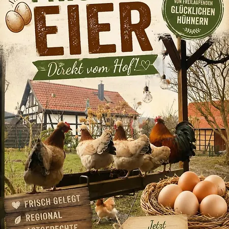 Tannhaeuser Hoerselhaeuschen *